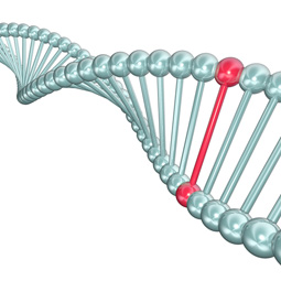 DNA图像, 表示BCD由基因缺陷导致。