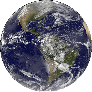 An image of the Earth signifying that BCD has been reported throughout the world.