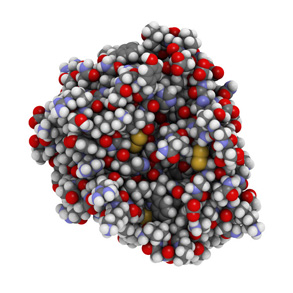 An illustrative image of the CYP4V2 protein.